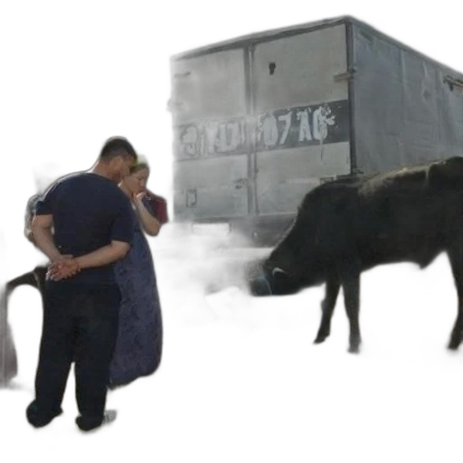 animal, concept art, fog, city street transparent PNG cut-out