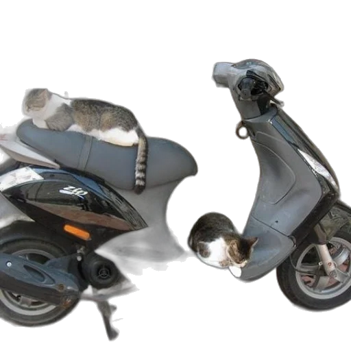 3d render, photorealistic, concept art, two transparent PNG cut-out