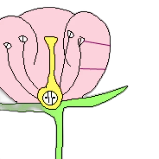 flower, crown, jewelry, umbrella transparent PNG cut-out