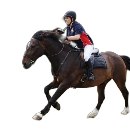 person, riding, brown, horse transparent PNG cut-out