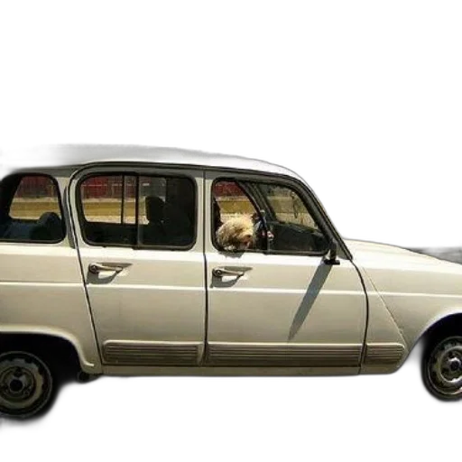 car, animal, staff, furniture transparent PNG cut-out