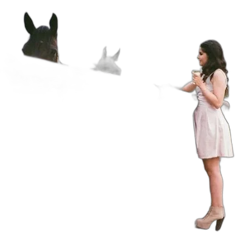 shoes, dress, animal, weapon transparent PNG cut-out