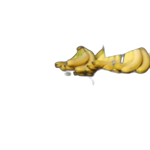 weapon, food, animal, dragon transparent PNG cut-out