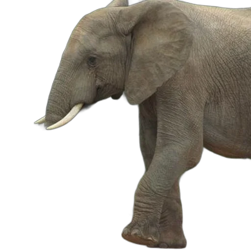 animal, creature, staff, weapon transparent PNG cut-out