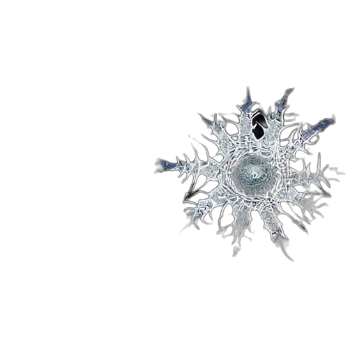 crown, jewelry, flower, weapon transparent PNG cut-out