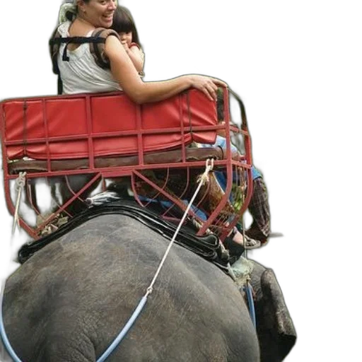 animal, car, woman, child transparent PNG cut-out