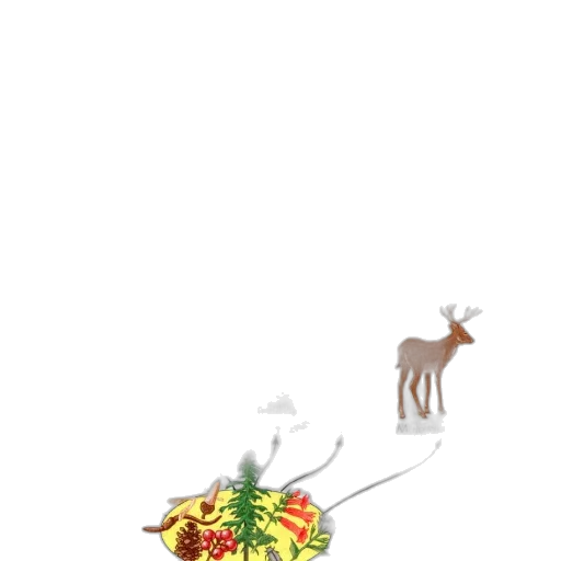 food, animal, creature, dragon transparent PNG cut-out