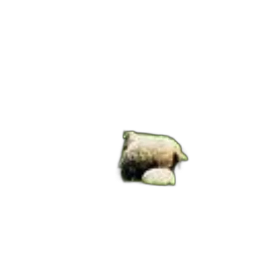 animal, creature, furniture, food transparent PNG cut-out