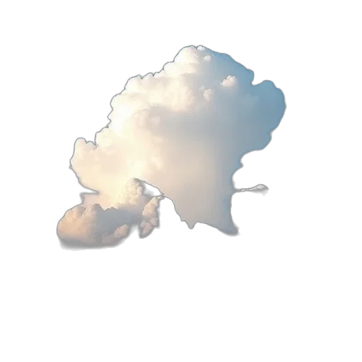 crown, hat, hair, umbrella transparent PNG cut-out