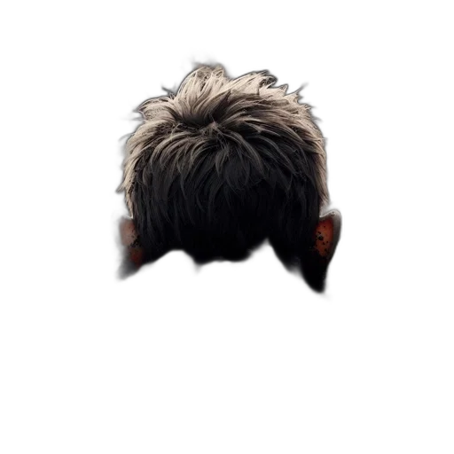 hair, face, mask, crown transparent PNG cut-out