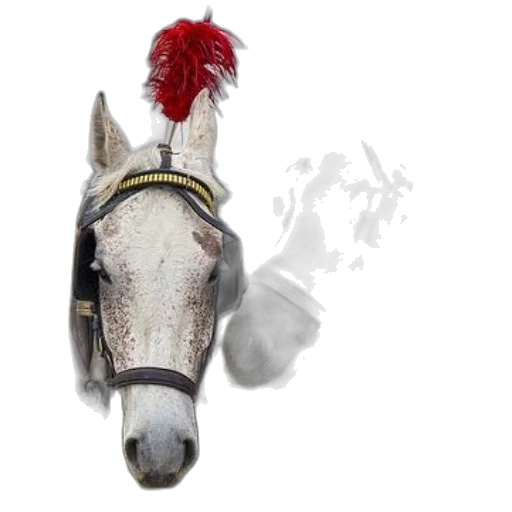 animal, staff, crown, hat transparent PNG cut-out