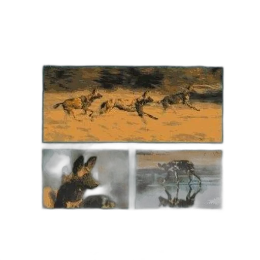 animal, dragon, oil painting, concept art transparent PNG cut-out