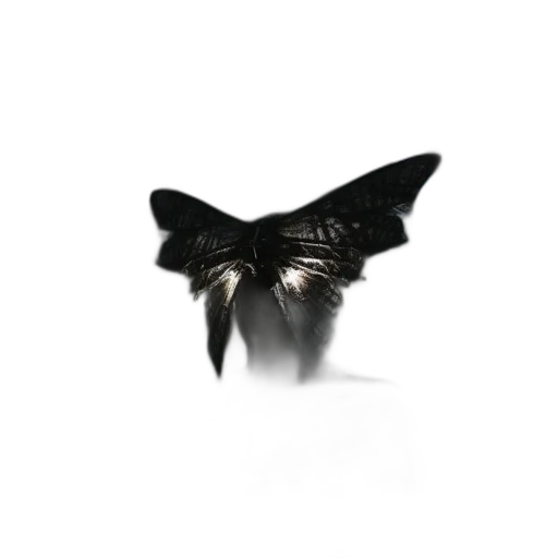 jewelry, crown, mask, animal transparent PNG cut-out