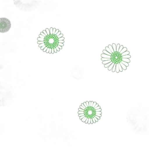 umbrella, flower, weapon, jewelry transparent PNG cut-out