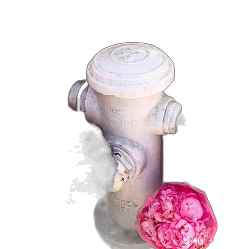 bottle, flower, jewelry, food transparent PNG cut-out