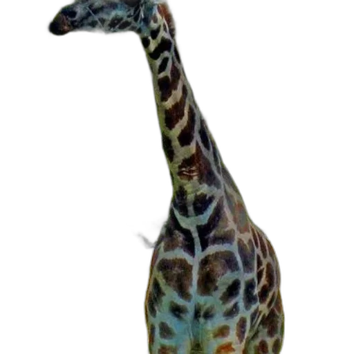 animal, staff, creature, jewelry transparent PNG cut-out