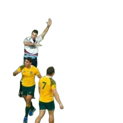 rugby, match, taking, place transparent PNG cut-out