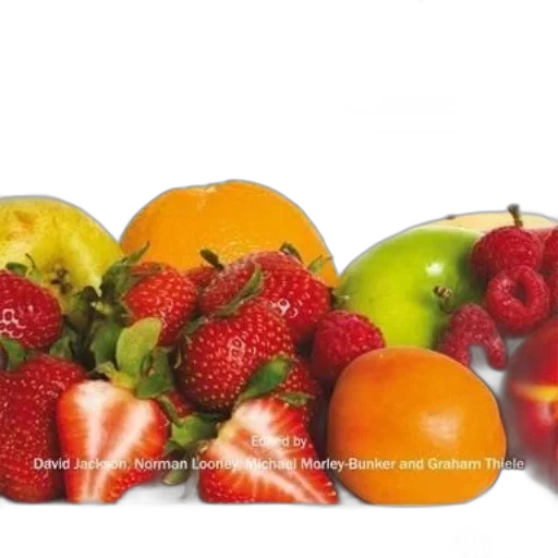 food, crown, photorealistic, 3d render transparent PNG cut-out