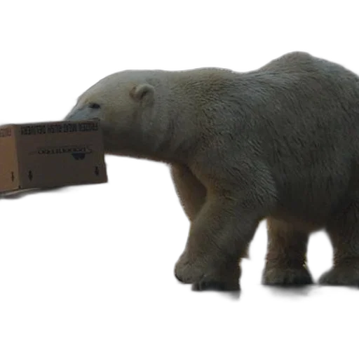 animal, creature, weapon, furniture transparent PNG cut-out