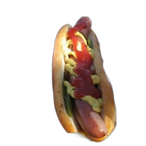 food, animal, creature, weapon transparent PNG cut-out