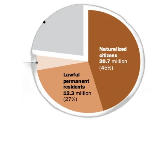 pie, chart, showing, distribution transparent PNG cut-out