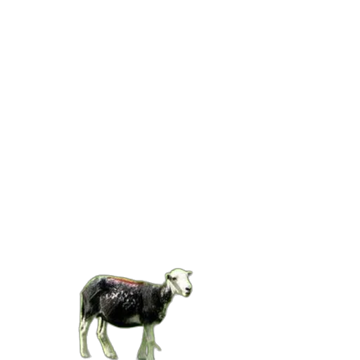 animal, creature, robot, jacket transparent PNG cut-out