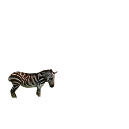 animal, creature, furniture, robot transparent PNG cut-out