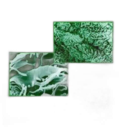 jewelry, photorealistic, green, earth tones transparent PNG cut-out