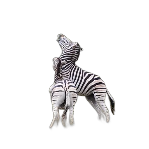 animal, creature, jewelry, staff transparent PNG cut-out
