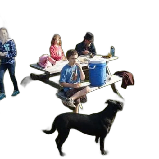 animal, staff, furniture, creature transparent PNG cut-out