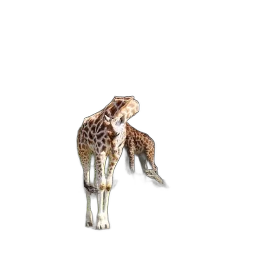 animal, creature, jewelry, staff transparent PNG cut-out