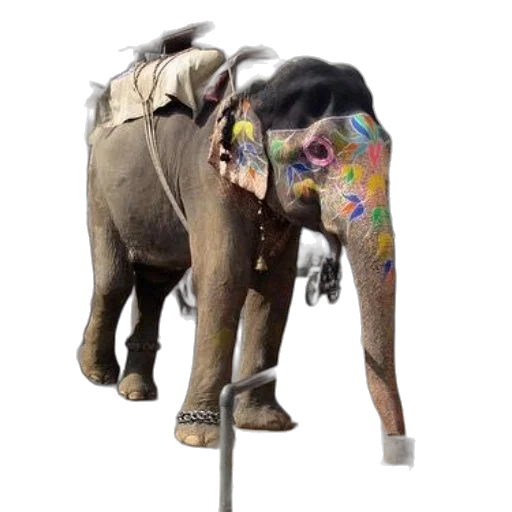 animal, staff, umbrella, creature transparent PNG cut-out