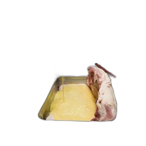 food, animal, jacket, bottle transparent PNG cut-out