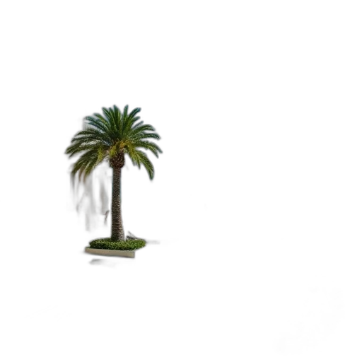 tree, umbrella, hair, furniture transparent PNG cut-out