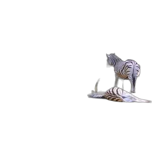 animal, dragon, creature, shoes transparent PNG cut-out