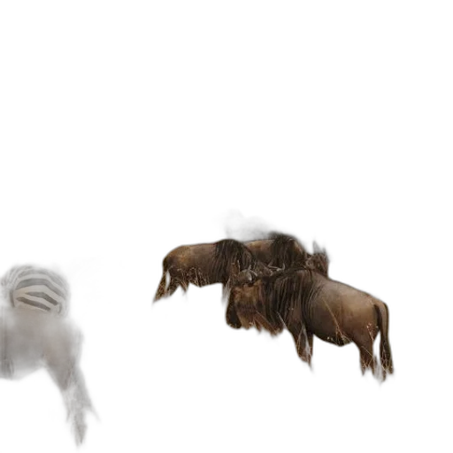 hair, animal, creature, concept art transparent PNG cut-out