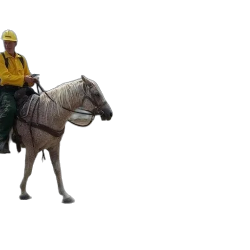 staff, animal, hat, robot transparent PNG cut-out