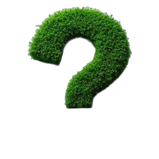 hair, tree, green, question transparent PNG cut-out