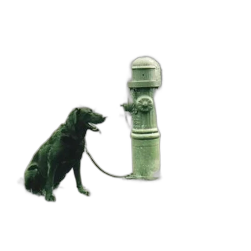 staff, animal, bottle, dragon transparent PNG cut-out