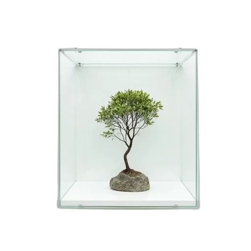 tree, furniture, crown, 3d render transparent PNG cut-out