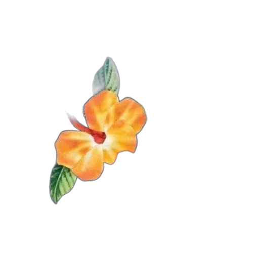 flower, crown, jewelry, weapon transparent PNG cut-out