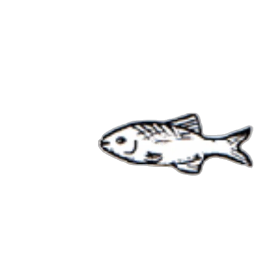 animal, staff, food, creature transparent PNG cut-out