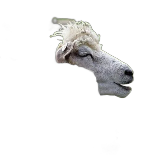 animal, mask, dragon, creature transparent PNG cut-out
