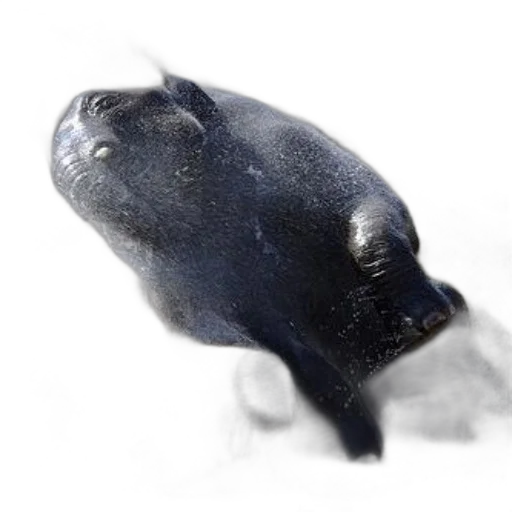 animal, creature, mask, face transparent PNG cut-out
