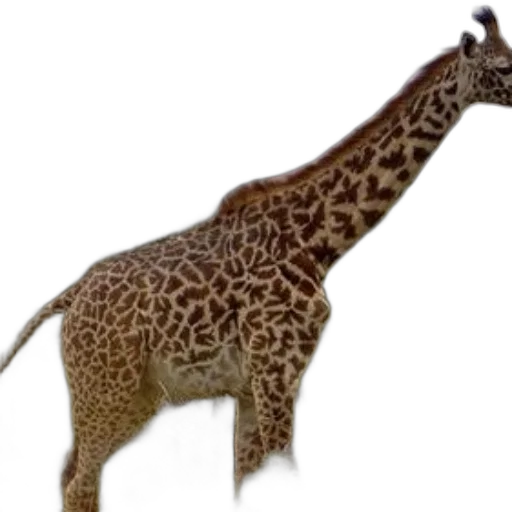 animal, creature, staff, jewelry transparent PNG cut-out