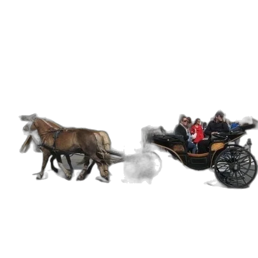 car, animal, dragon, furniture transparent PNG cut-out