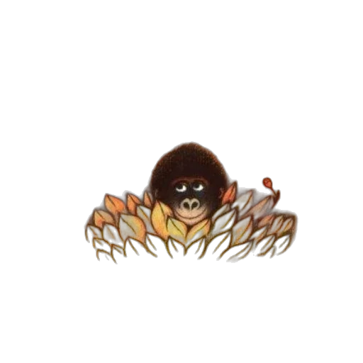 hair, creature, jewelry, animal transparent PNG cut-out