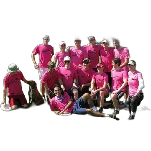 staff, hat, group, people transparent PNG cut-out