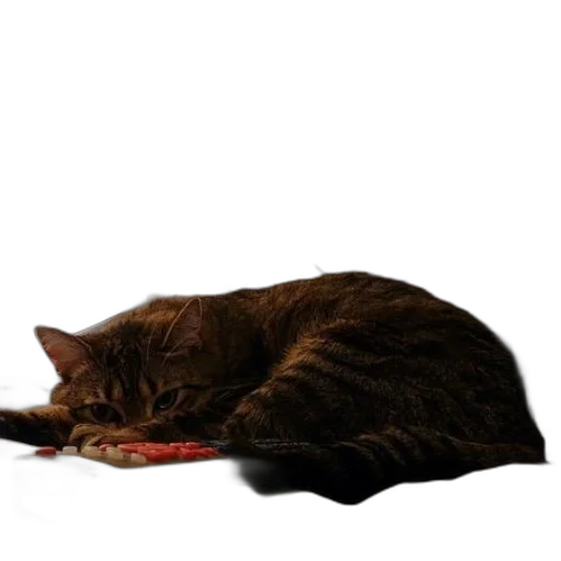 staff, food, animal, weapon transparent PNG cut-out
