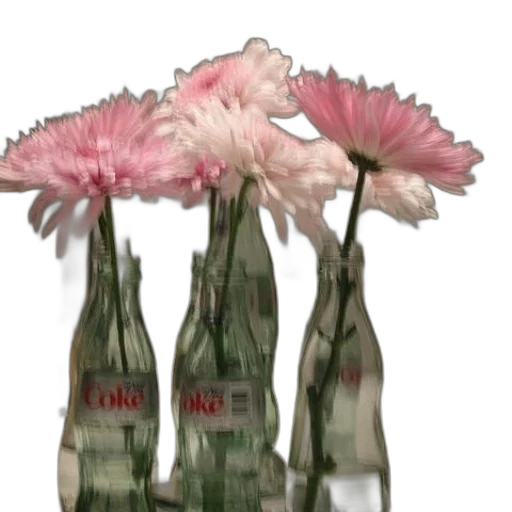 bottle, flower, crown, jacket transparent PNG cut-out
